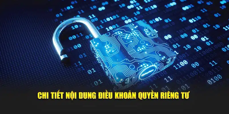 Chi tiết nội dung điều khoản quyền riêng tư