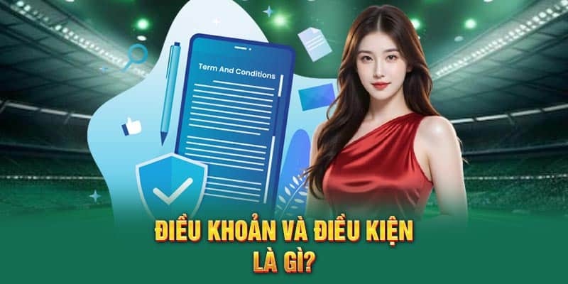 Điều khoản và điều kiện là gì?