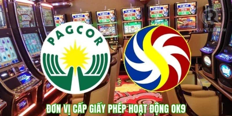 Các đơn vị cung cấp giấy phép hoạt động uy tín hiện nay